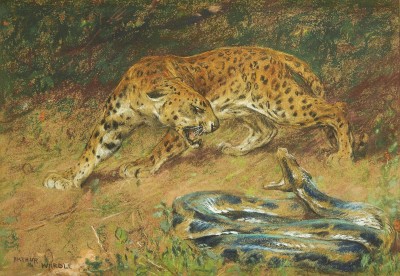 Arthur Wardle , RI, RBC , Leopard and snake