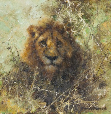 David Shepherd , CBE, Lion