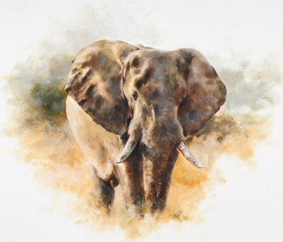 Mandy Shepherd, Elephant