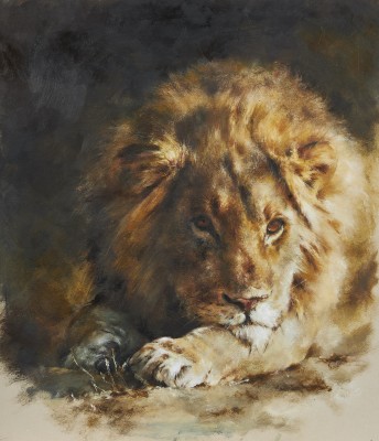 Mandy Shepherd , Lion