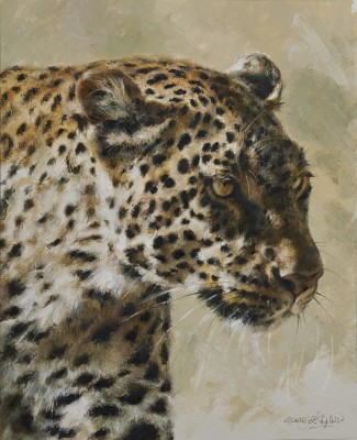 Mandy Shepherd, Leopard head