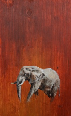 Mandy Shepherd , Red Elephant
