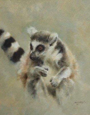 Mandy Shepherd , Lemur