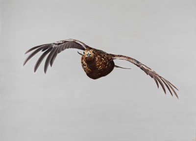 Anna Clare Lees-Buckley , Incoming Grouse
