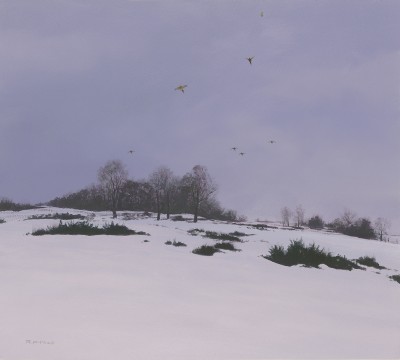 Rodger McPhail , Winter Pheasants