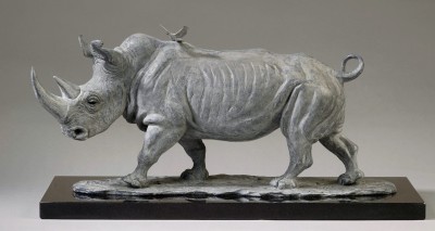 Camilla Le May , Sudan, the last male northern white rhino