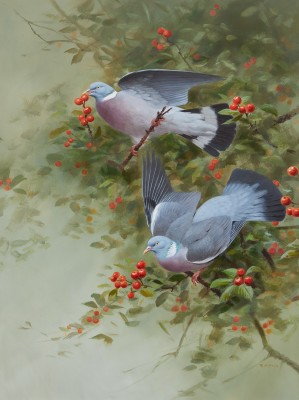 Rodger McPhail , Pigeon and berries