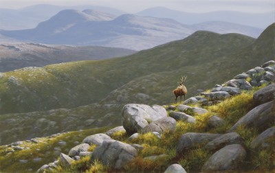 Rodger McPhail , Highland Stag