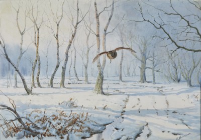 John Cyril Harrison , Woodcock over the snow