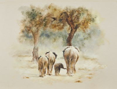 Mandy Shepherd, Nsefu, Elephant family