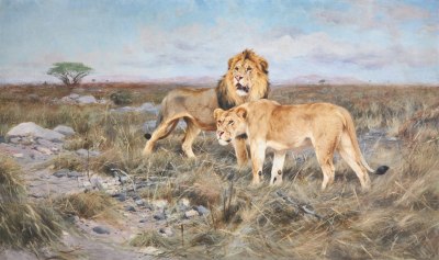 Wilhelm Kuhnert , Lion and Lioness