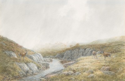 Vincent Balfour-Browne , 'Damn that hind!'