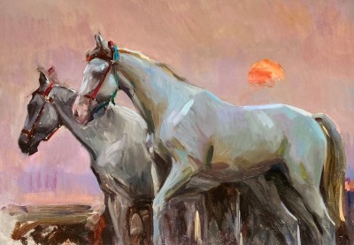 Marcus Hodge , Greys at sunset