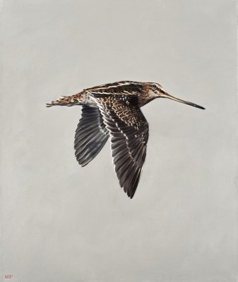 Anna Clare Lees-Buckley , On the wing