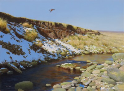 Rodger McPhail , Moorland Pheasant
