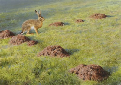 Rodger McPhail , Hare