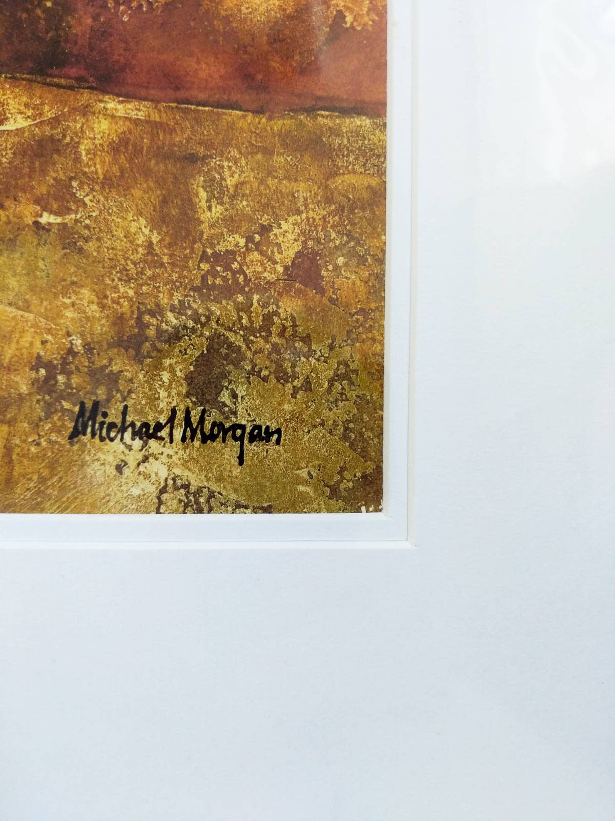 Undulating Path | Forest Gallery