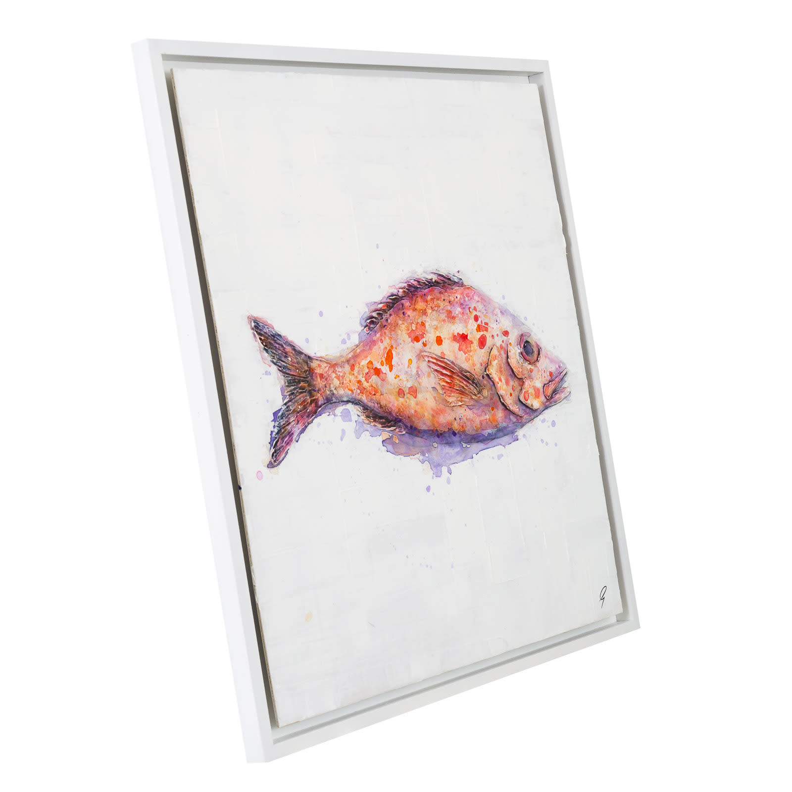 Red Snapper on Linen