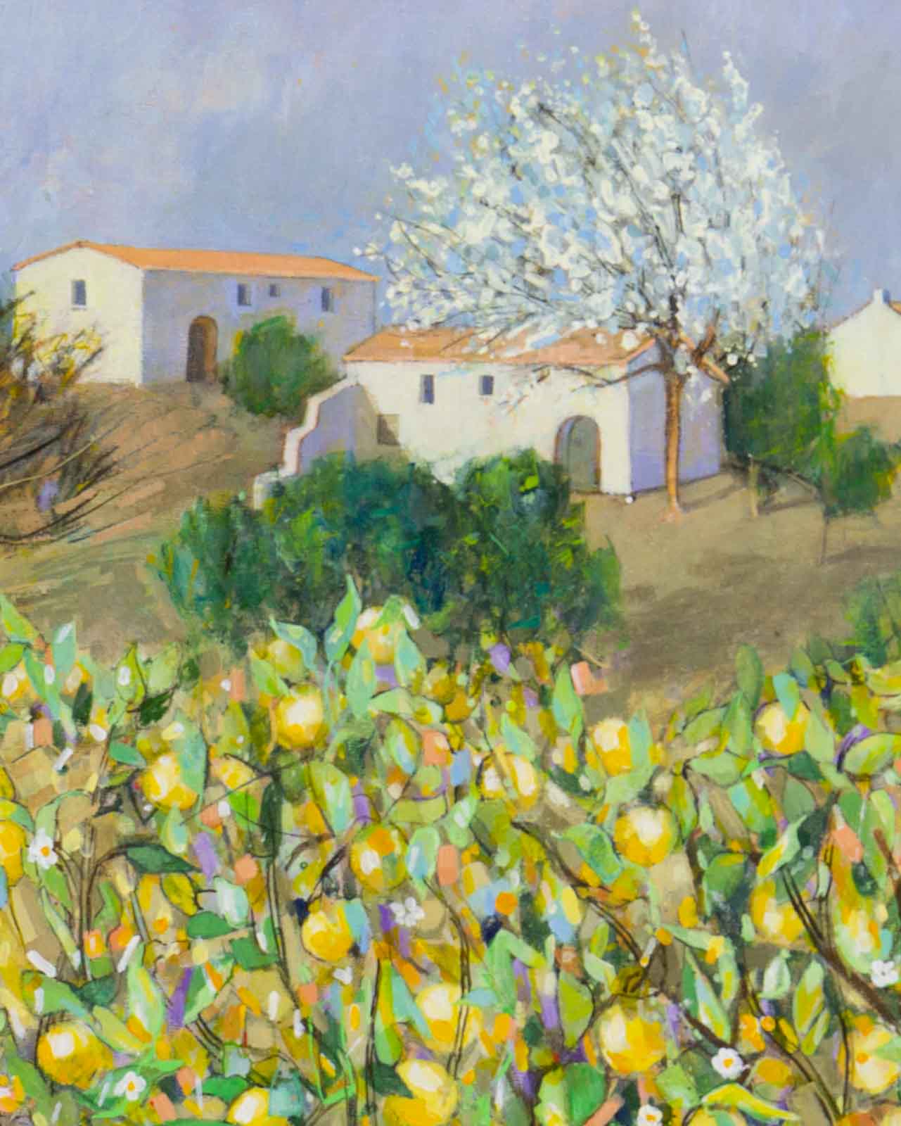 Lemon Trees, Almeria