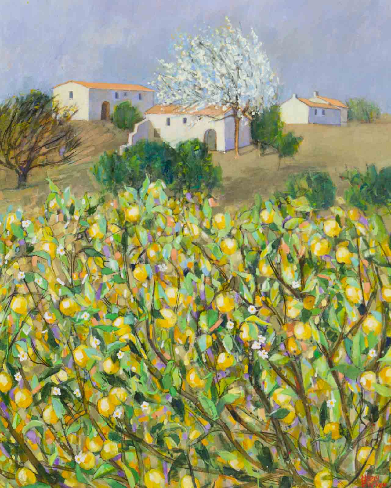 Lemon Trees, Almeria
