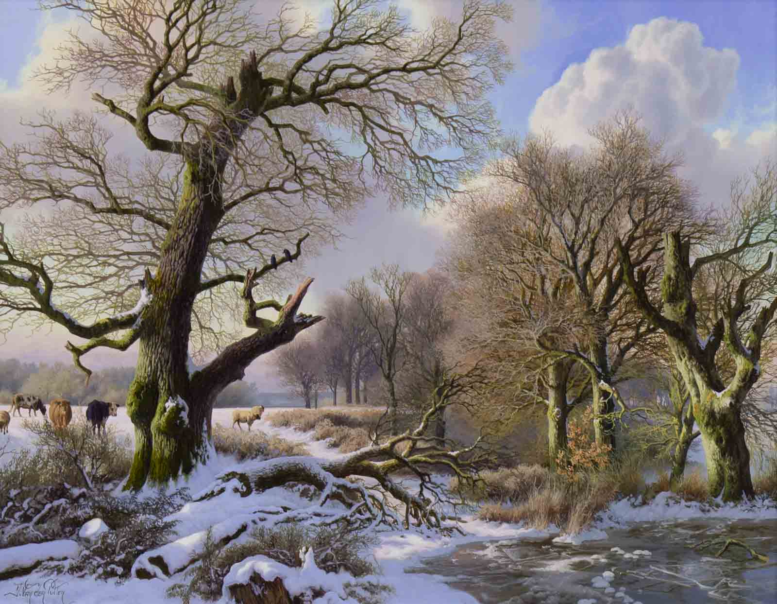 The Old Oak in Winter