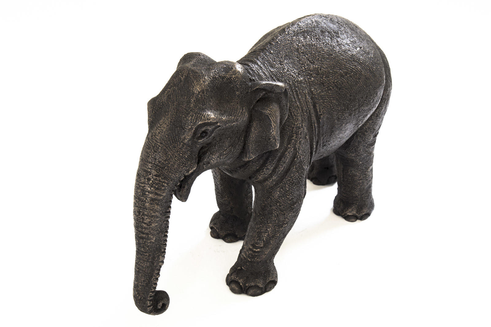 Asian Elephant Mother