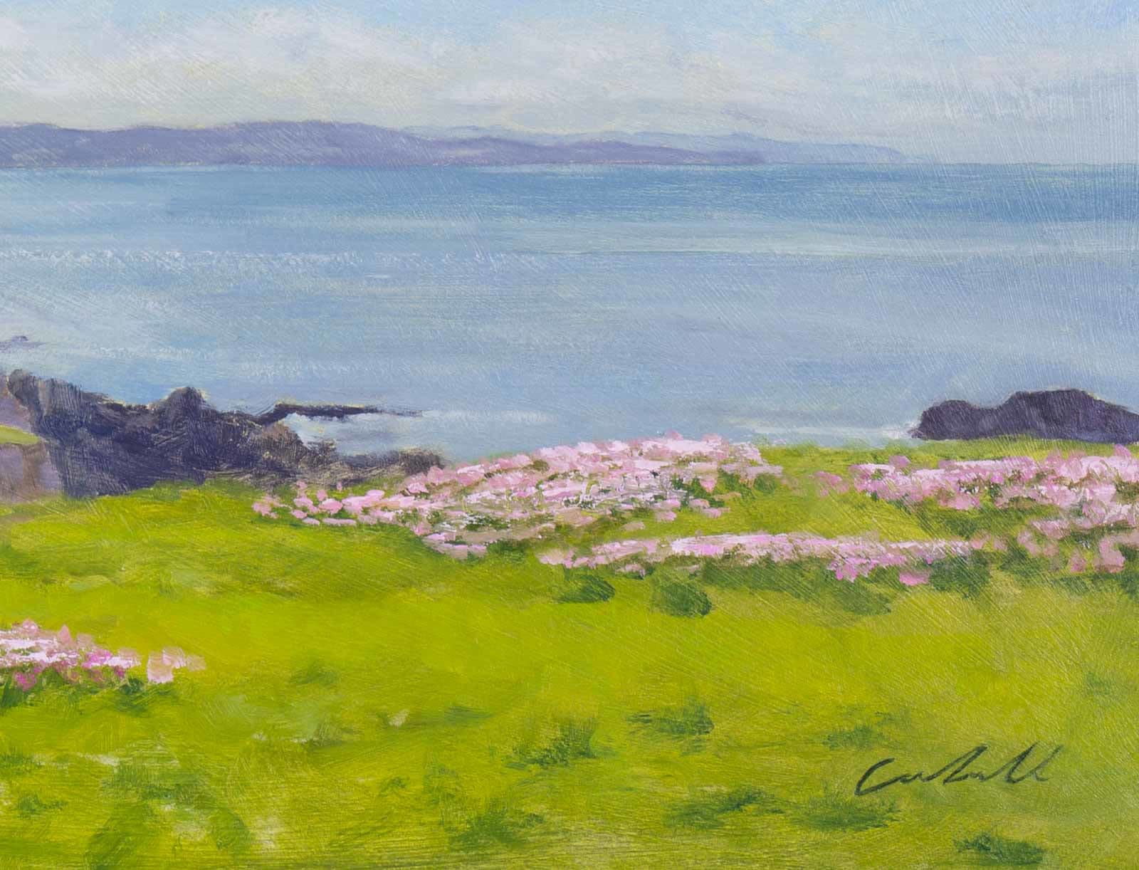 Bude, Cornwall Commission
