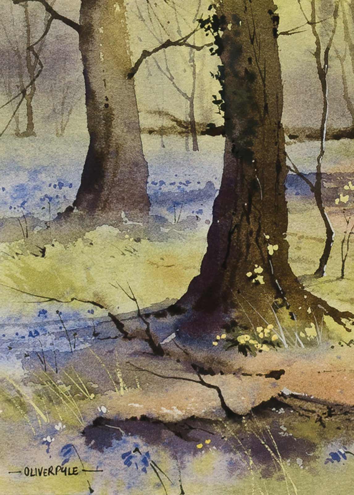 Bluebell Season, Sussex