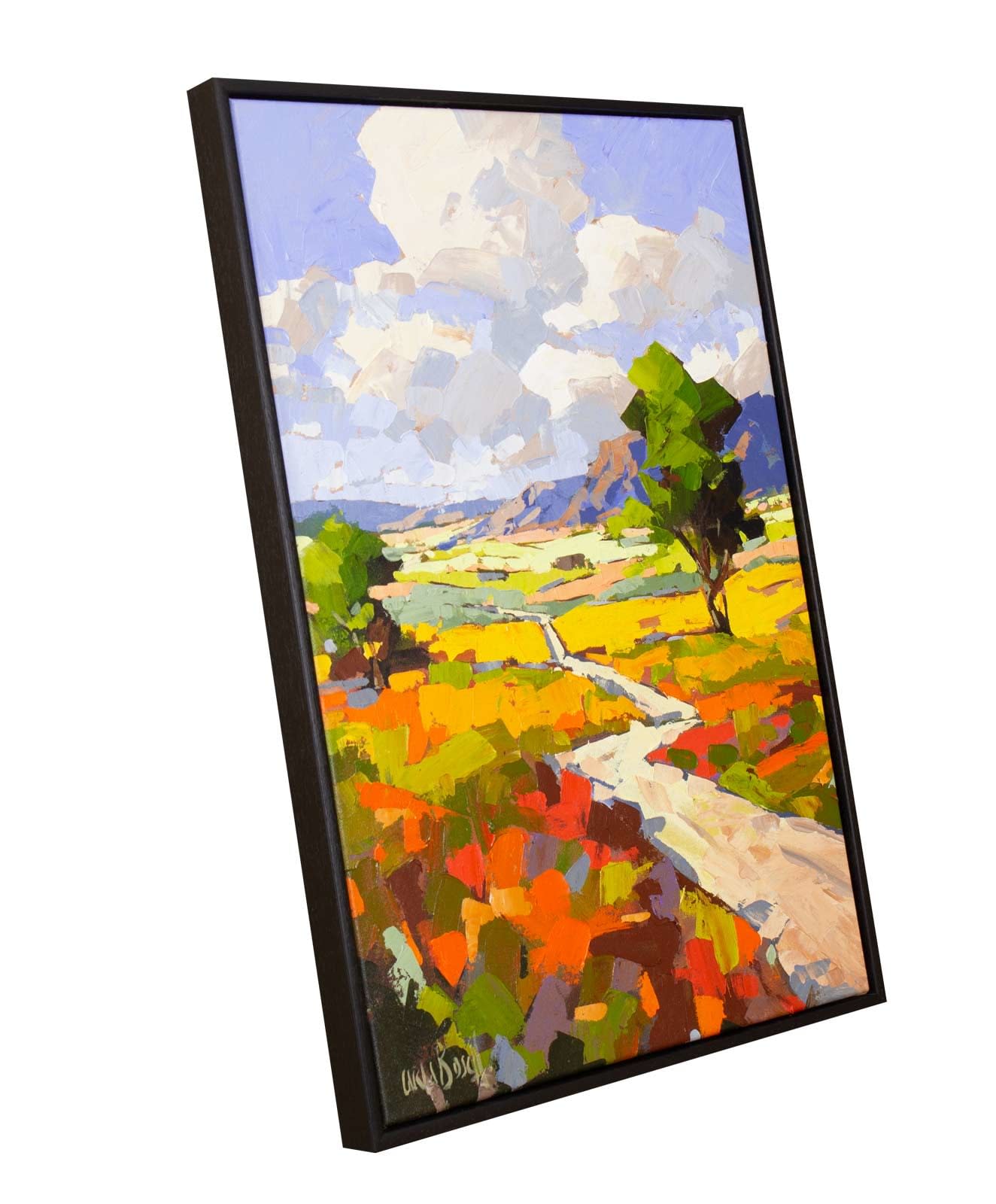 Mountain Pass