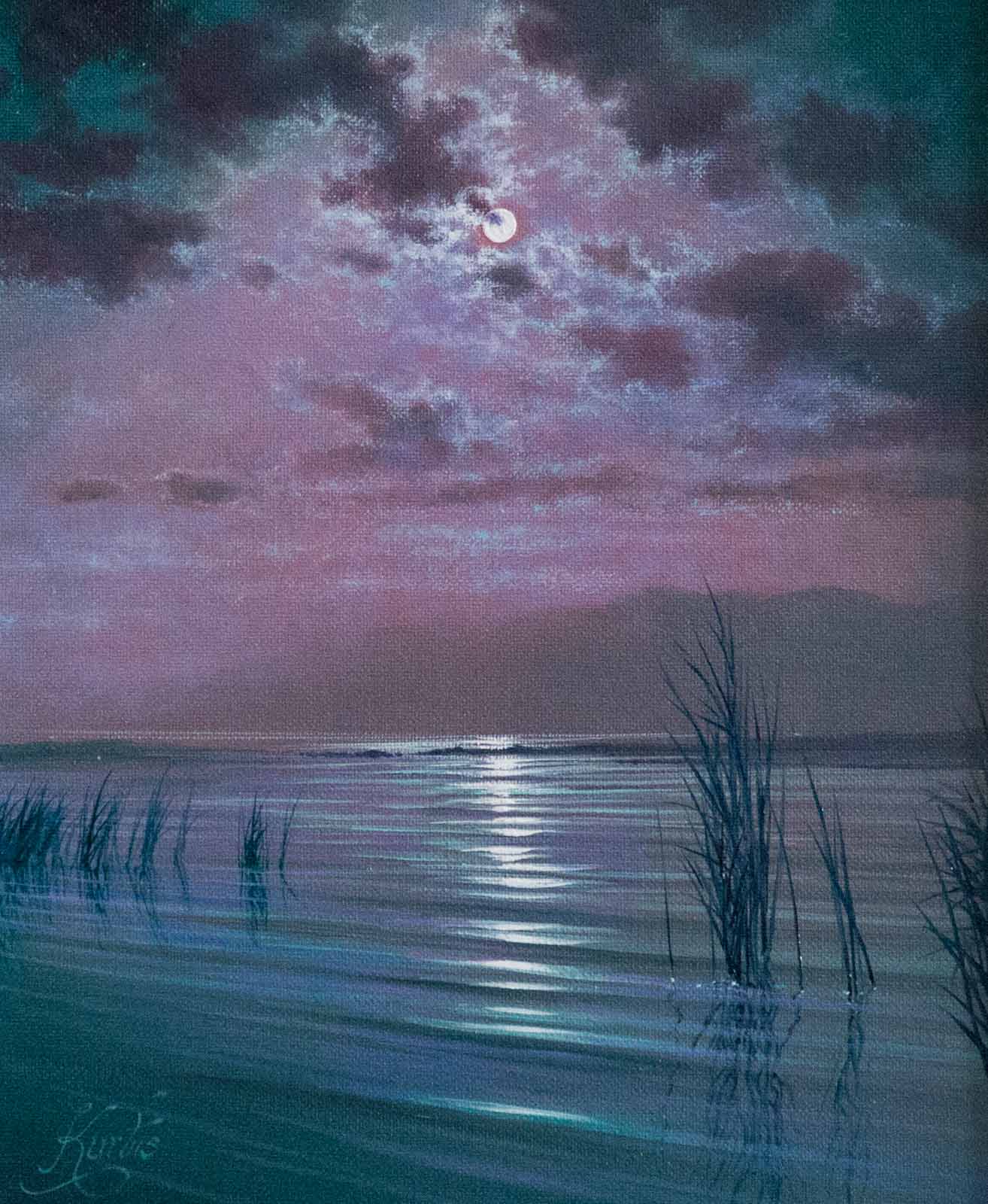 Moonlight Relections