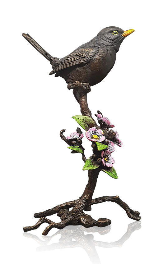 Blackbird with Blossom