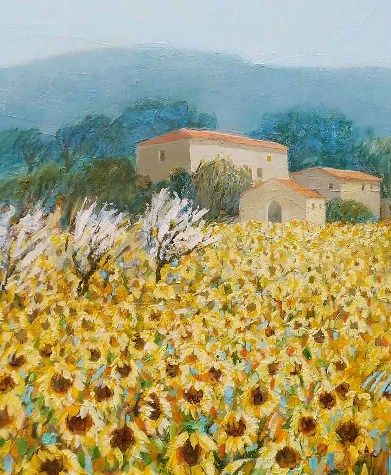 September Sunflowers Tuscany