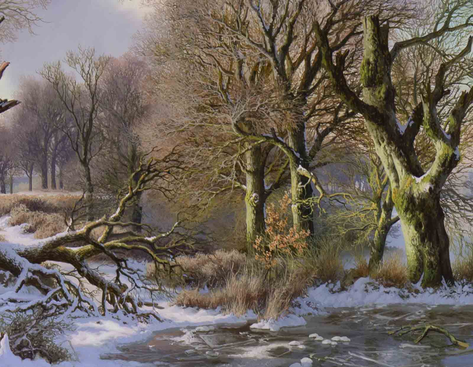 The Old Oak in Winter