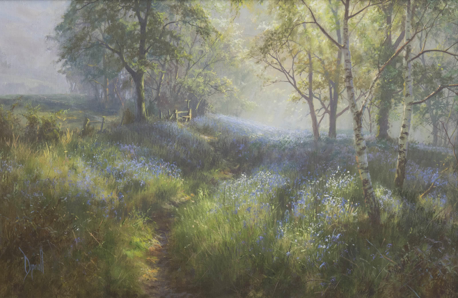 Bluebells in the Mist