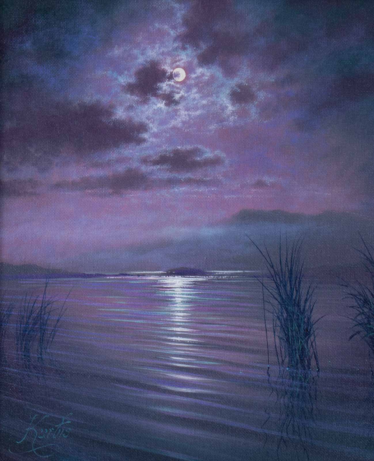 Moonlight Reflections