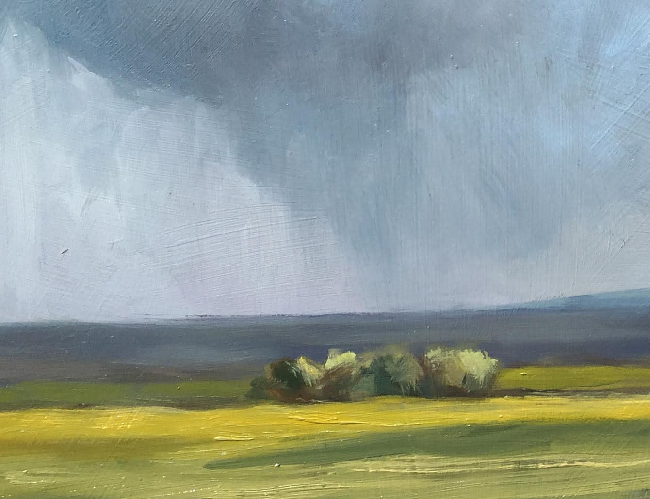Passing Showers, South Downs