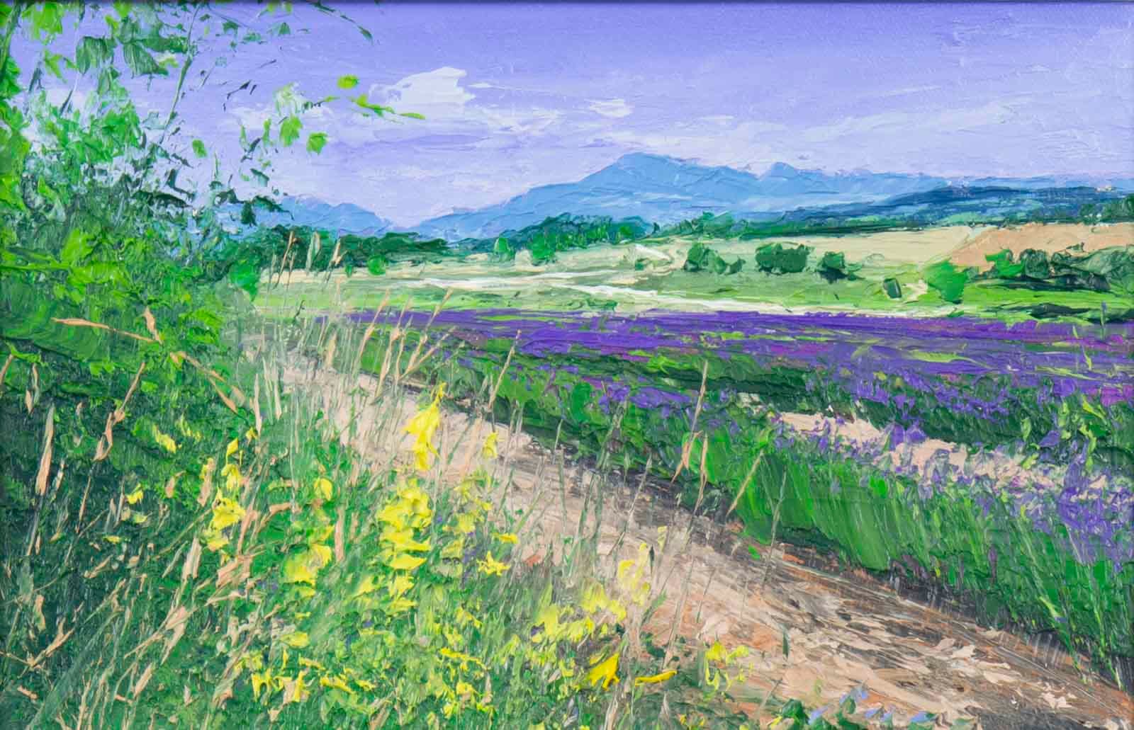 Lavender, Provence