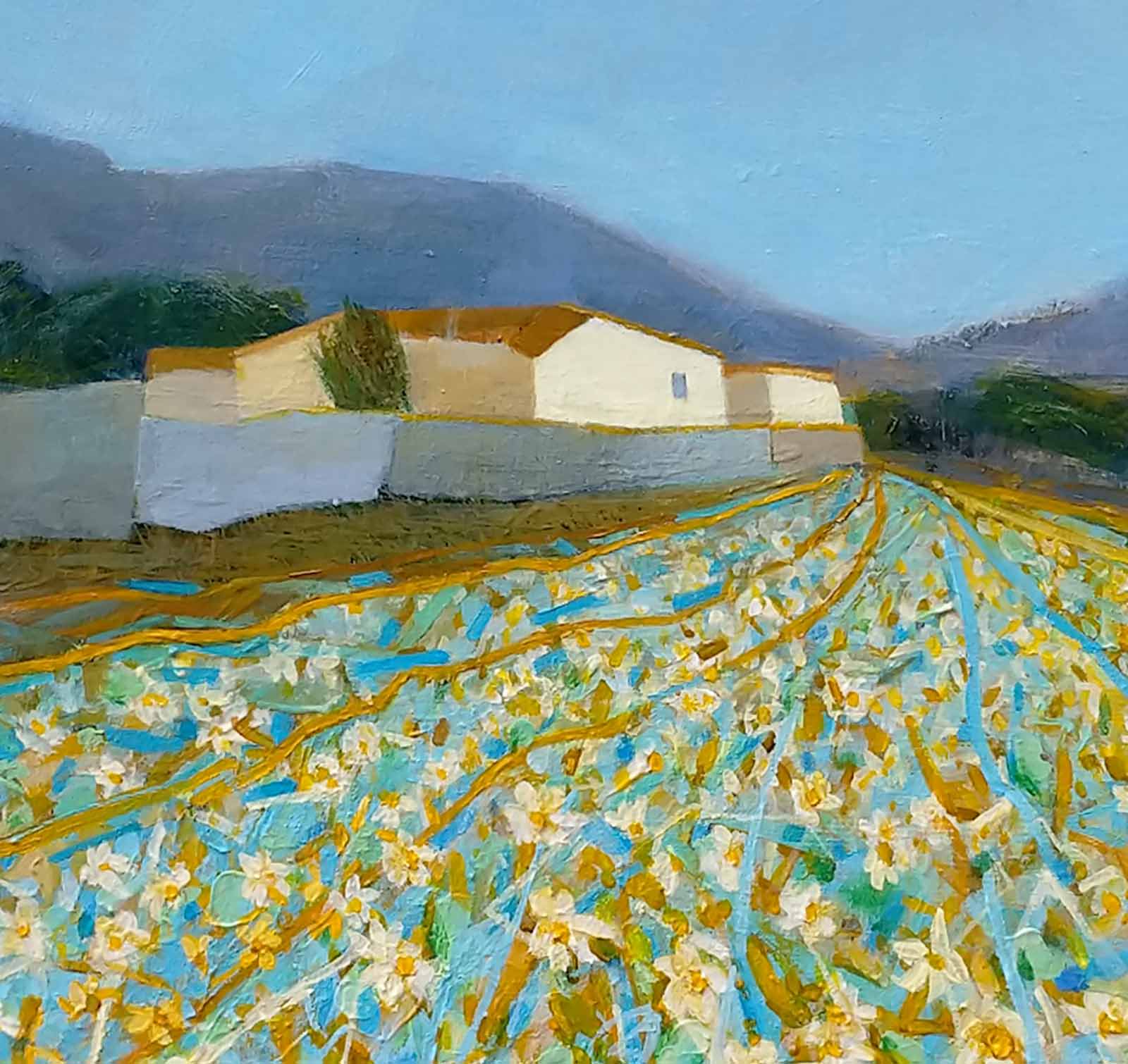 Flowery Meadow, Menorca