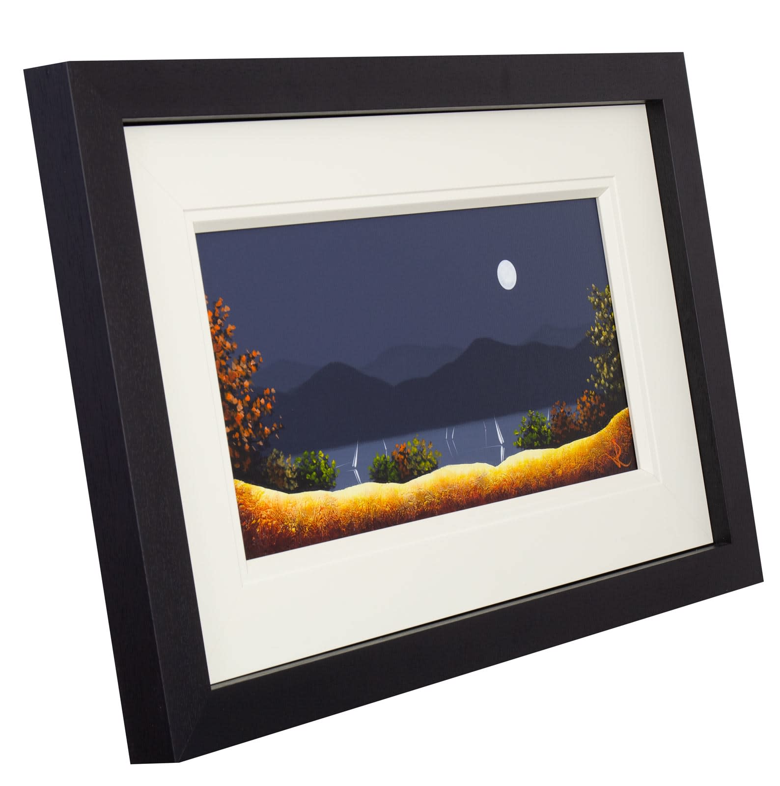 Moonlight Sailing