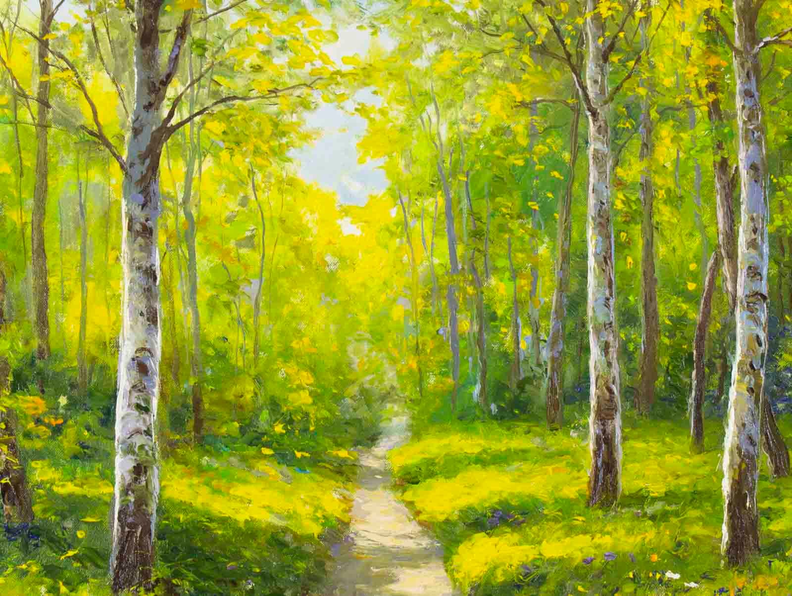 Forest Bathing