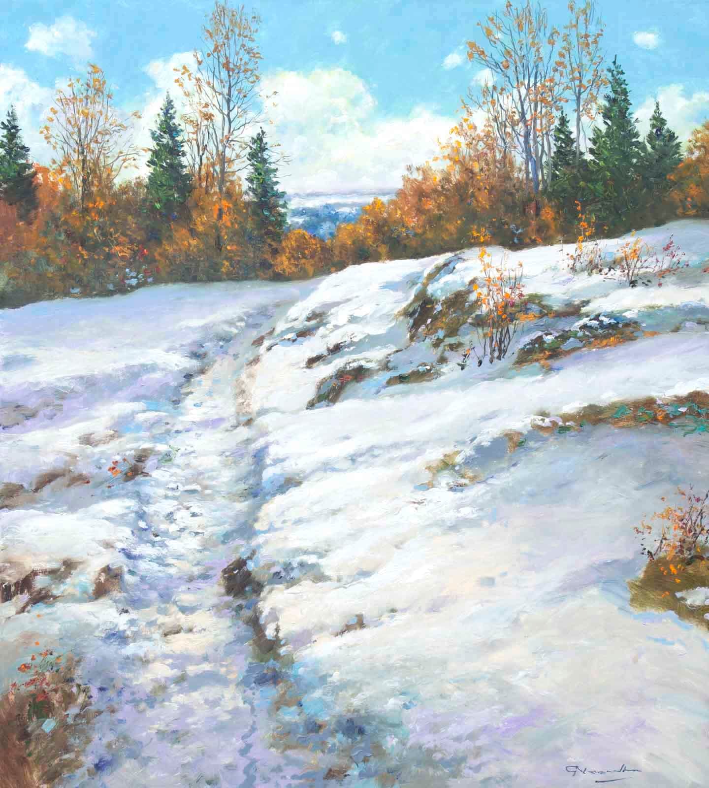 A Snowy Trail