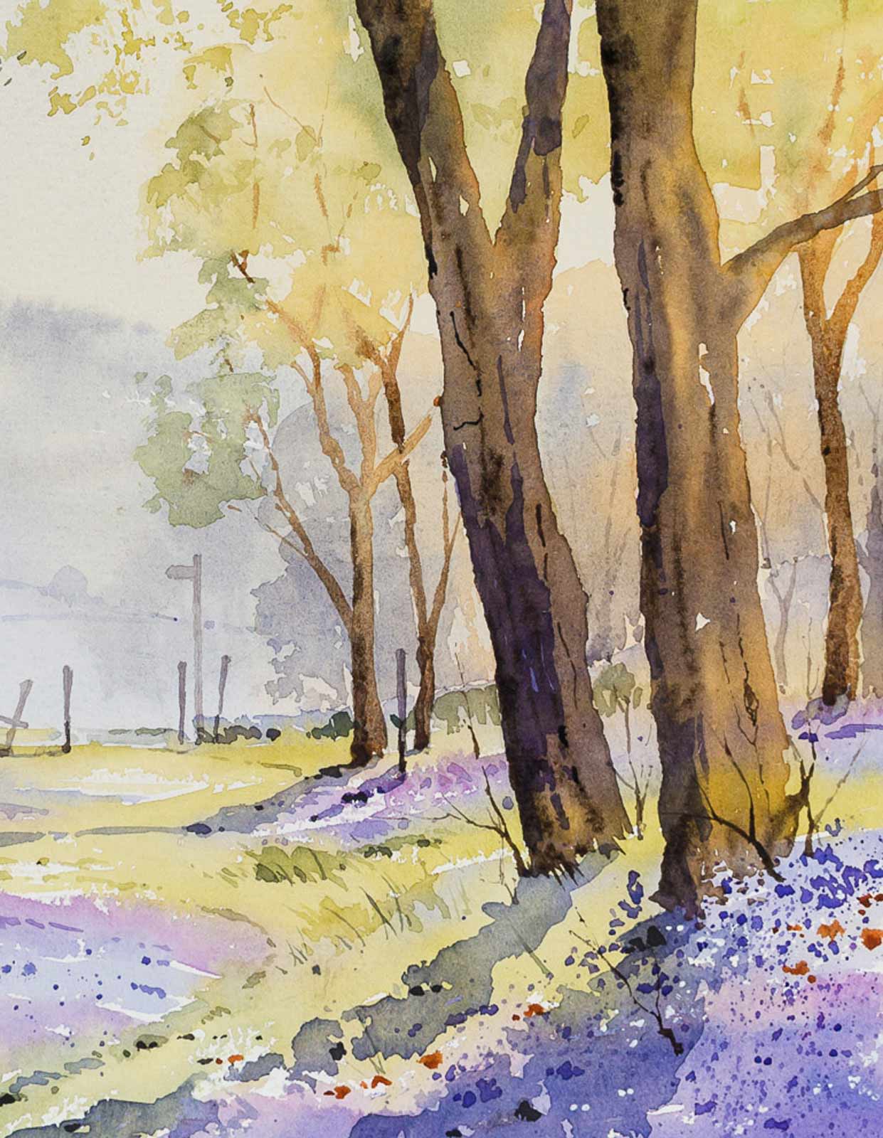 In the Bluebell Wood