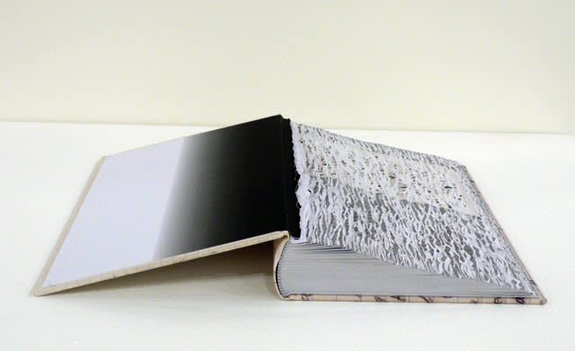 An artwork by Buzz Spector titled Efface Nabokov. A hardcover book lies open. The pages have been ripped out, the first ones completely and then less and less of each subsequent page, so that the surface of the pages is sloped like a ramp and the torn edges create a physical texture as well as a visual texture from the glimpses of printed text.