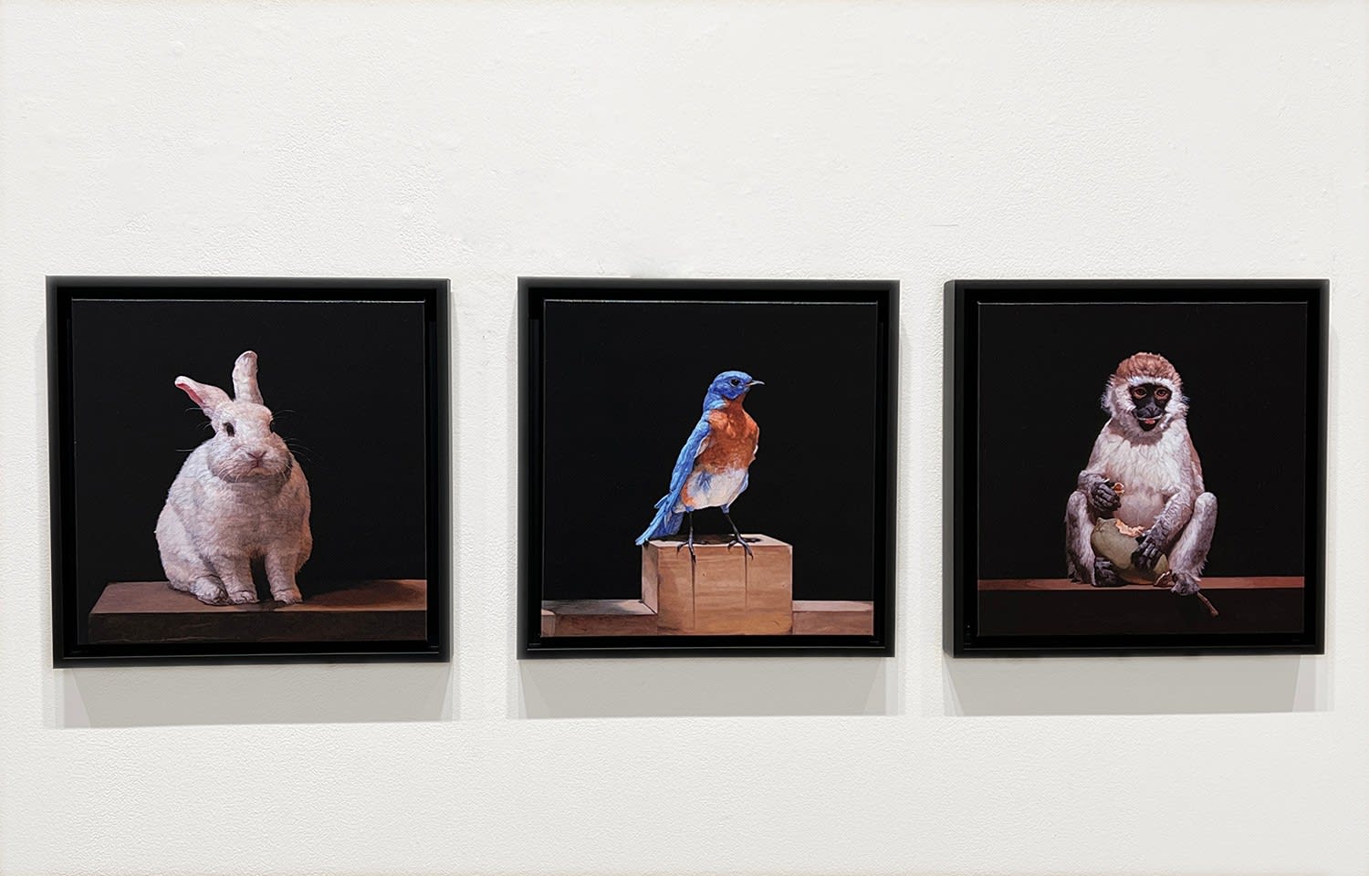 Patricia Traub, EASTERN BLUE BIRD, 2022 | Gallery Henoch
