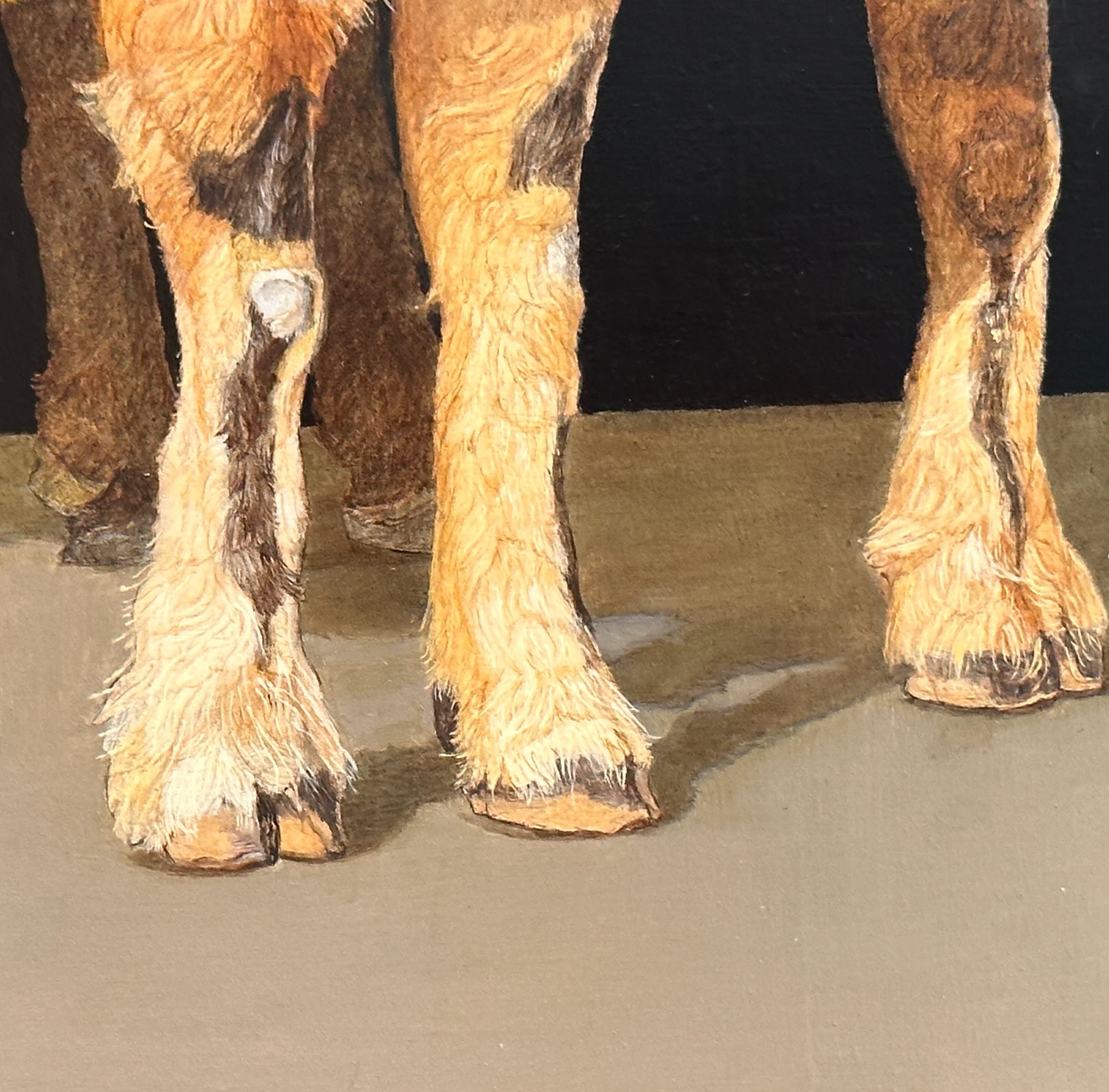 Patricia Traub, SHARING A NICHE, 2023 | Gallery Henoch