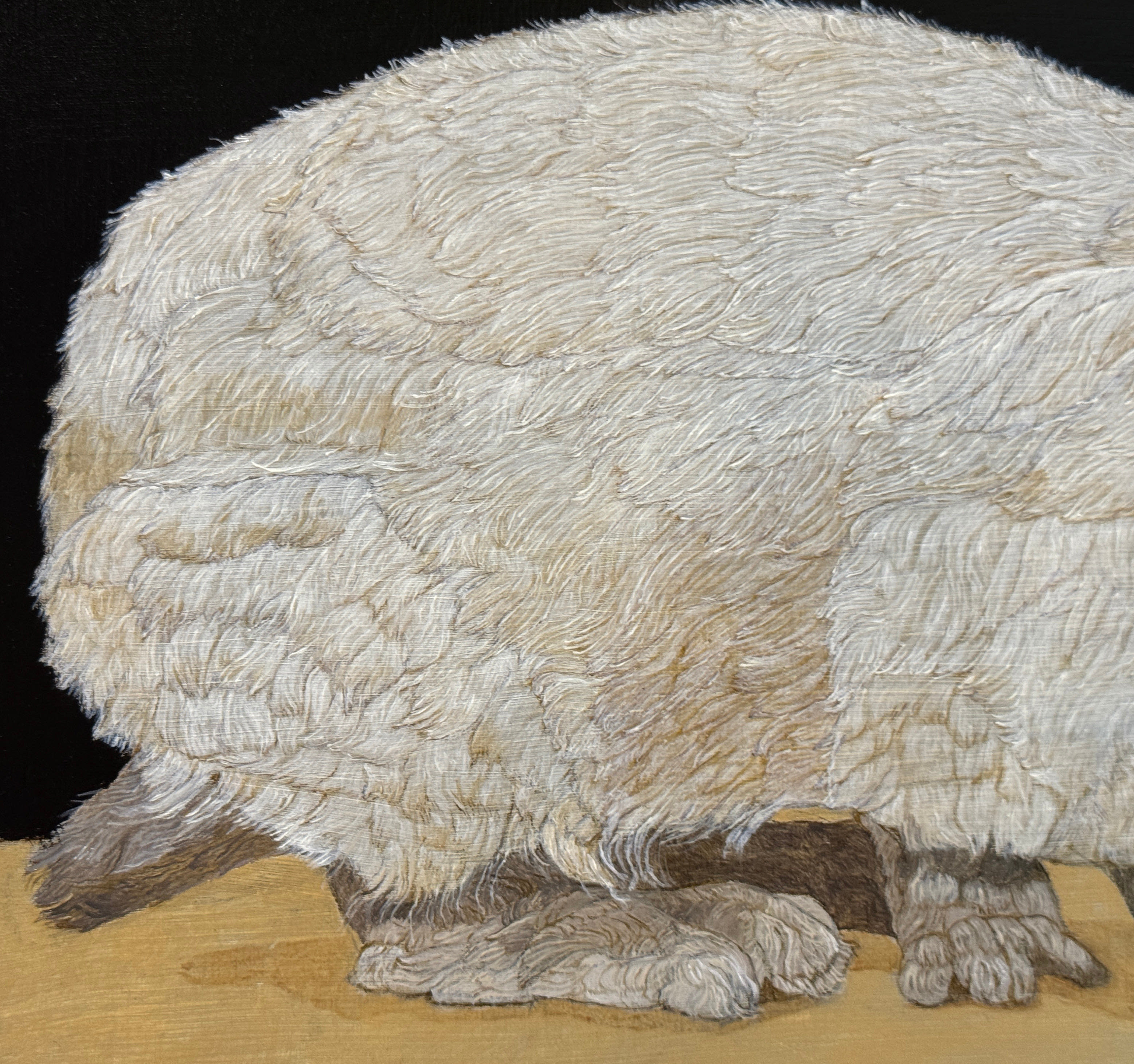 Patricia Traub, HIMALAYAN BUNNY, 2024 | Gallery Henoch