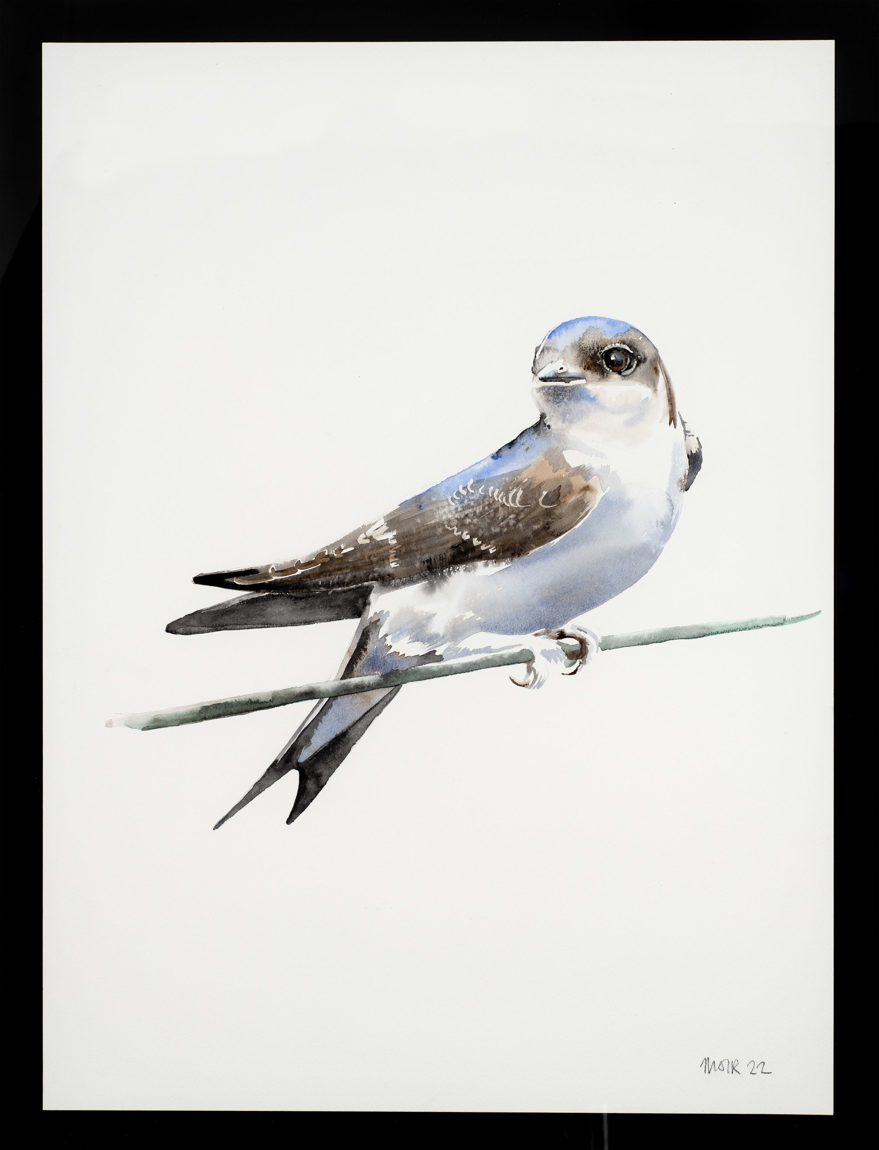 Jim Moir, Swift on a twig, 2022 Grosvenor Gallery