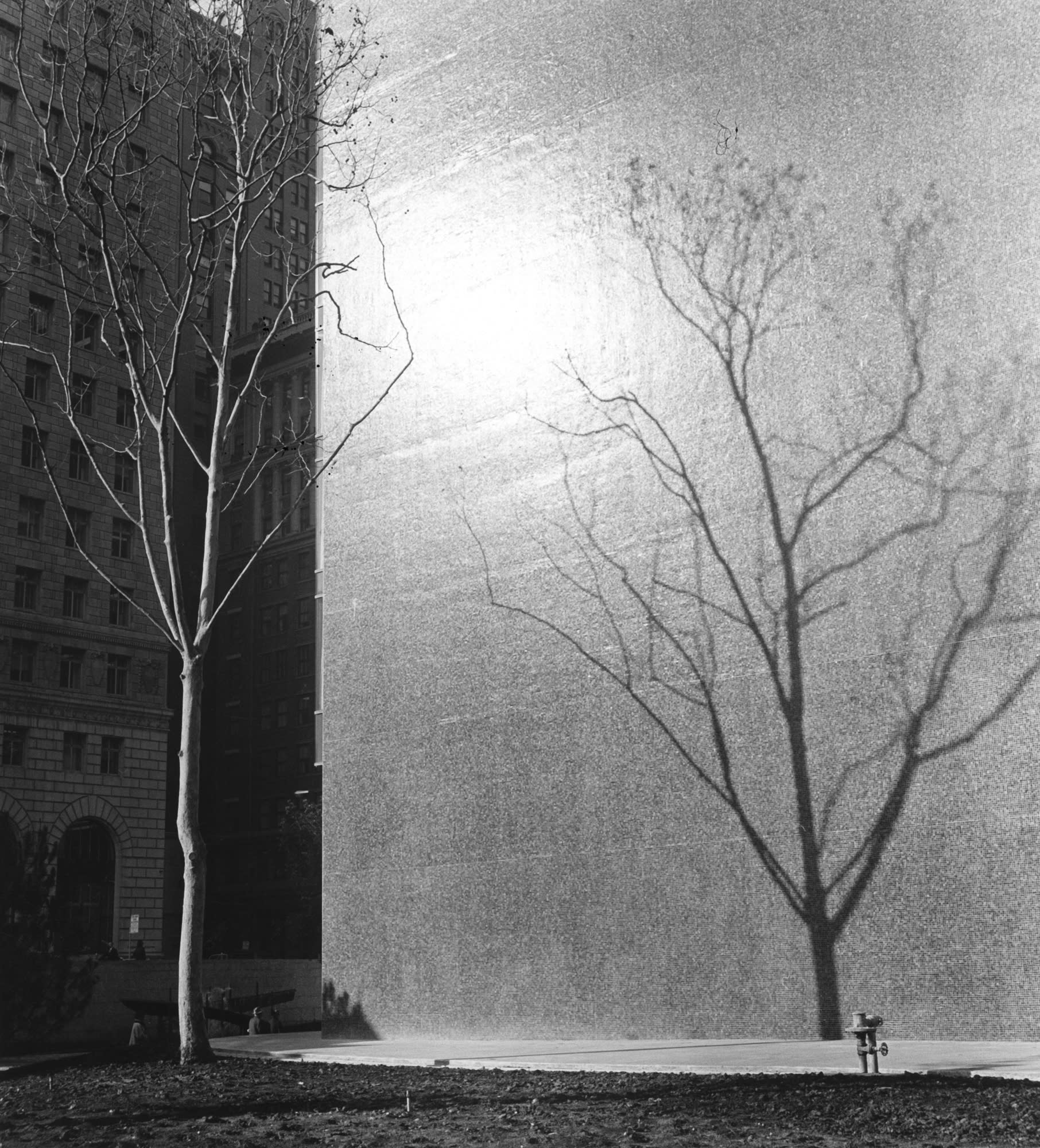 Imogen Cunningham, Crown Zellerbach Building, San Francisco, 1960