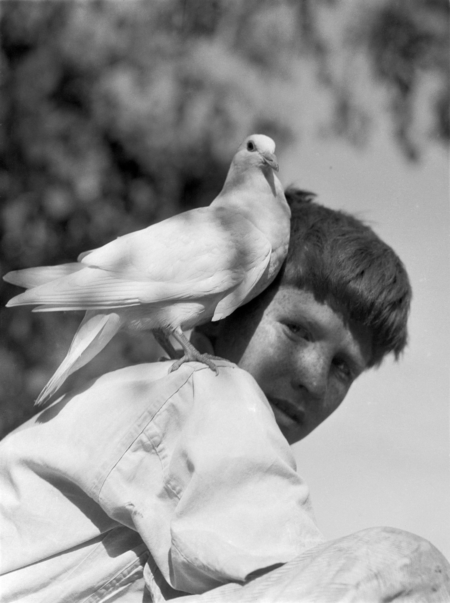 Cunningham, One of the Partridge Twins with Pidgeon, 1929 Imogen