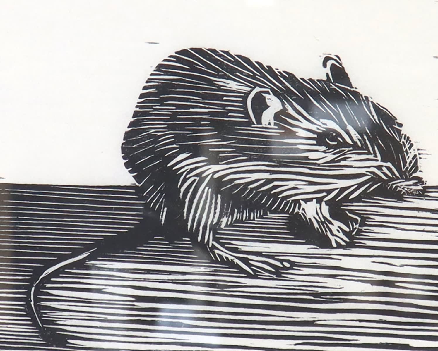 Jacob Cowgill, Hispid Pocket Mouse (Species of Concern), 2024 Radius